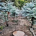 Σπίτι διακοπών Tiny Casa Uccello *