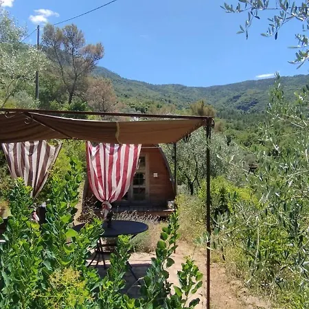 Hébergement de vacances Tiny Casa Uccello *