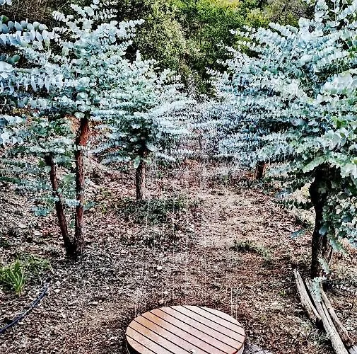 Nyaraló Tiny Casa Uccello *