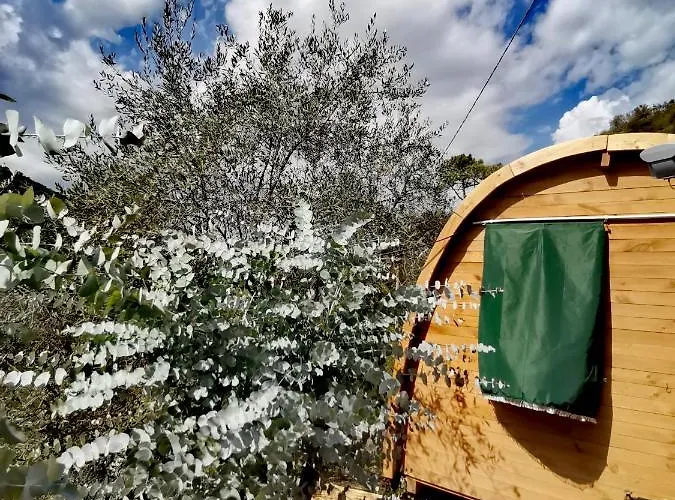 Tiny Casa Uccello Vakantiehuis Apricale