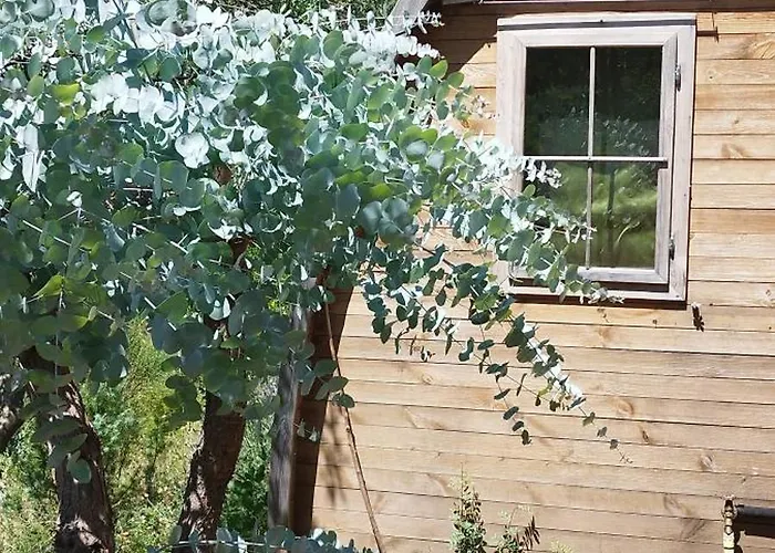 Tiny Casa Uccello Nyaraló